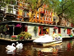 PhilDutch Houseboat Amsterdam Bed and Breakfast